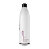 Шампунь для фарбованого волосся Profistyle Color Захист кольору, 250 мл